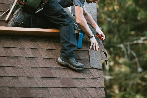 Best Metal Roofing Contractor  in Roscommon, MI