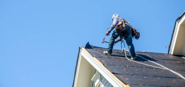 Best Roof Repair Services  in Roscommon, MI